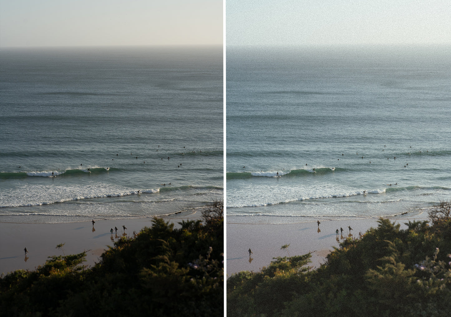 COASTAL FILM - desktop & mobile
