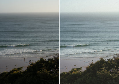 COASTAL FILM - desktop